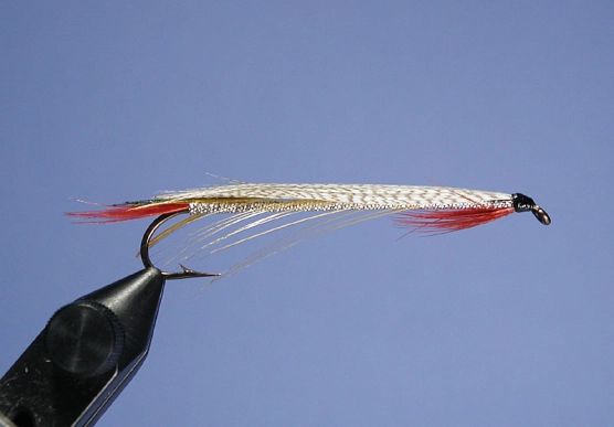 Manyard's Marvel Manyard's Marvel