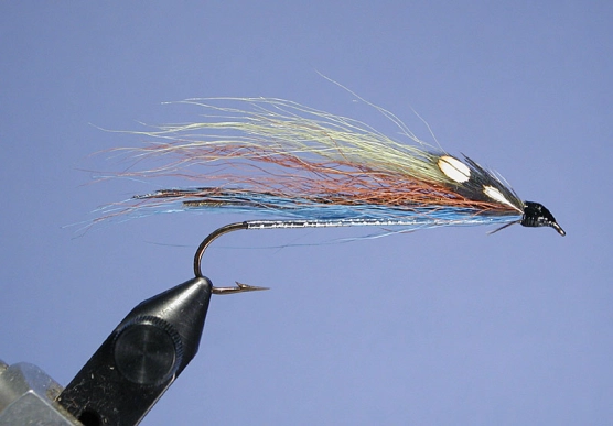 Sheepscot Smelt Sheepscot Smelt