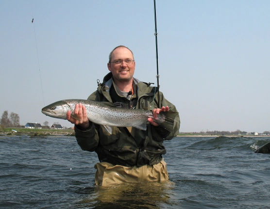 A large kelt A large kelt