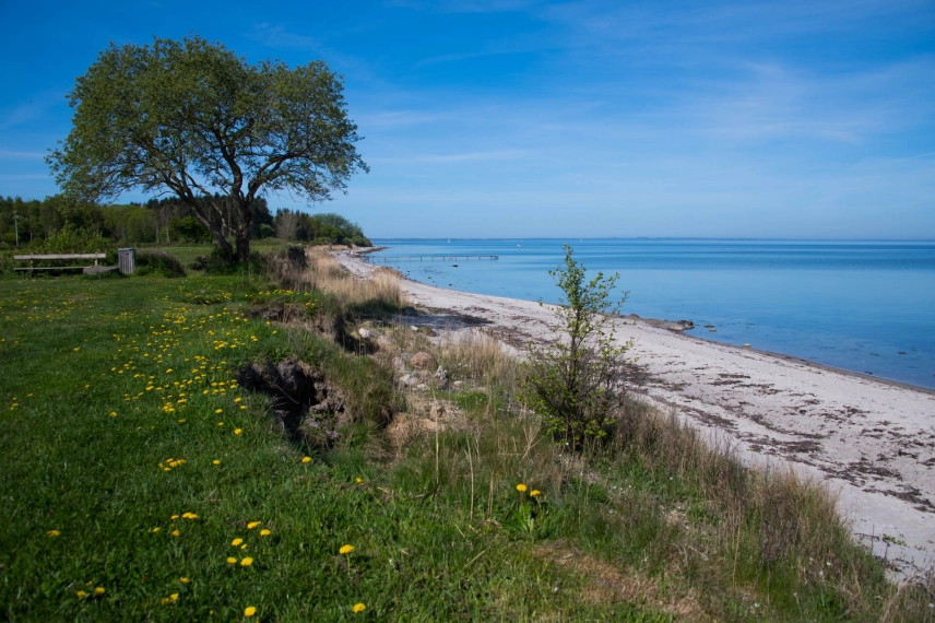 Danish coast Danish coast