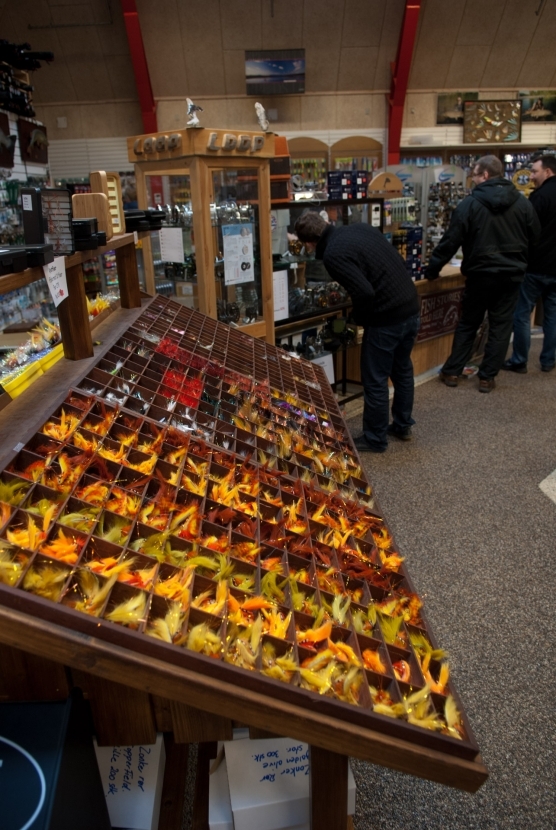 On sale! - image On sale! - image