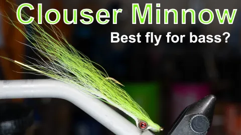 Video thumb for Clouser Minnow