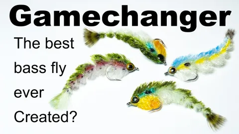 Video thumb for Gamechanger Fly