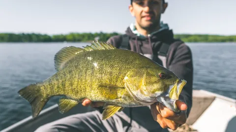 Video thumb for Streamer Fishing Big Bass