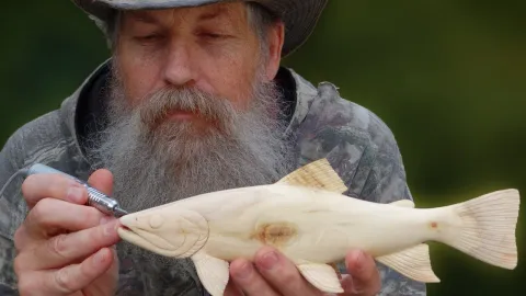 Video thumb for Carving a Wooden Brook Trout
