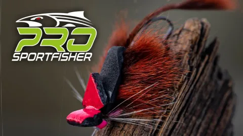 Video thumb for Morrish Mouse Tube