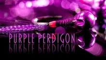 Video thumb for Purple Perdigon