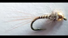 Video thumb for BB Nymph