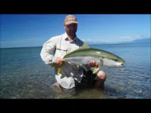 Video thumb for South Island flats fishing for ray riding Kingfish