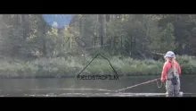 Video thumb for Miss Flyfish