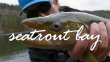 Video thumb for Seatrout Bay