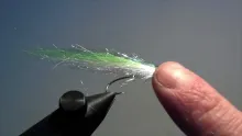 Video thumb for Baitfish