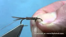 Video thumb for Pheasant Tail Nymph