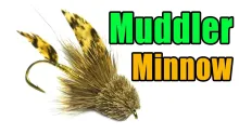 Video thumb for Muddler Minnow Streamer