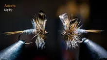 Video thumb for Adams Dry Fly
