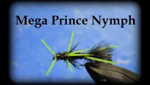 Video thumb for Mega Prince Nymph