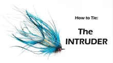 Video thumb for How to Tie an Intruder