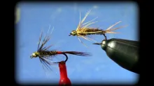 Video thumb for Soft Hackle Pheasant Tail Variations