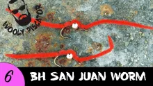 Video thumb for BH San Juan Worm
