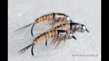 Video thumb for Golden stonefly nymph