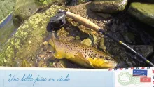 Video thumb for Fly fishing in CZ