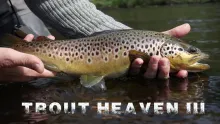 Video thumb for Trout Heaven III - The Final Chapter