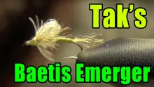 Video thumb for Tak's Baetis Emerger Mayfly Nymph