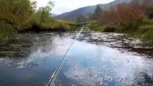 Video thumb for Fall fly-fishing