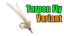 Video thumb for Tarpon Fly Variant