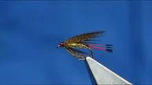 Video thumb for Mallard Winged Cinnamon & Gold