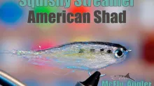 Video thumb for Fat Head Squishy Streamer - American Shad