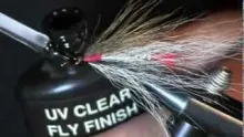 Video thumb for Black Nose Dace