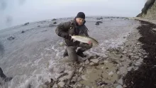 Video thumb for Sea trout from Bornholm