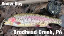 Video thumb for Fly Fishing Snow Day