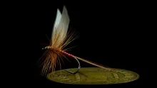 Video thumb for Red Quill - Mallard Slip Wing