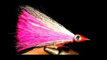 Video thumb for Square Tail Marabou Deceiver