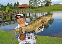 User submitted picture: grass carp.... 8kg!