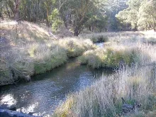 User submitted picture: Heaven with a 7ft rod & 6...