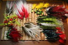 User submitted picture: Flies for Peacock Bass fr...