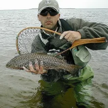 User submitted picture: O My God, it's a winner ...