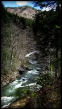 User submitted picture: Wild River