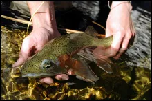 User submitted picture: I took this foto while we...