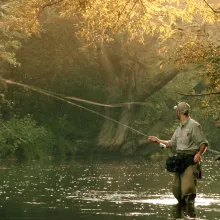 User submitted picture: Watching the Cast