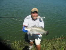 User submitted picture:  Catching Barramundi near...