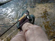 User submitted picture: Rest