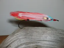 User submitted picture: Fire and Ice