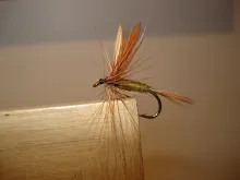 User submitted picture: Dry II