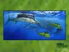 Computer screen wallpaper: Sailfish and Dorado