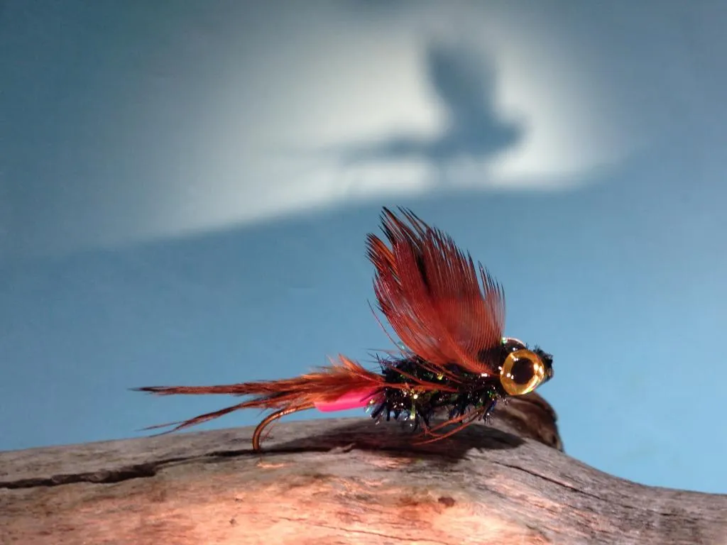 User submitted picture: Red's Shadow