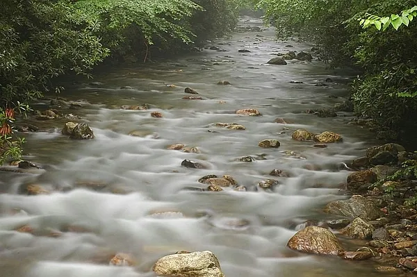 User submitted picture: Trout stream